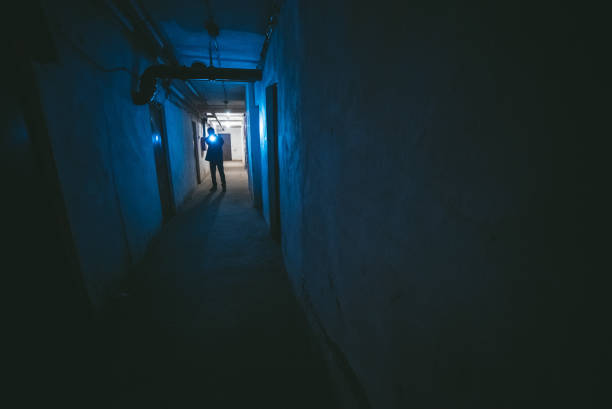 istock FBI agent on a criminal pursuit 1013817586