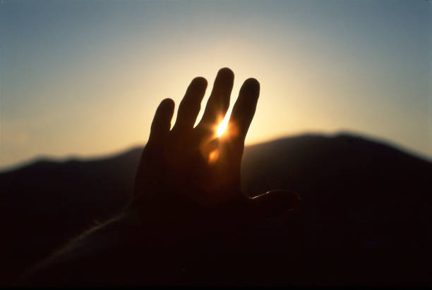 istock The pursuit of the sun 1013819948