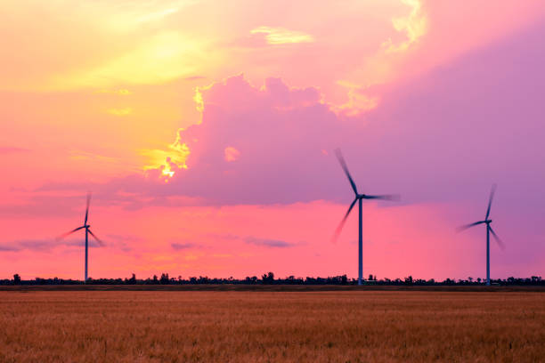 A DSLR photo of rotating Wind Turbines in the field during sunrise. Dramatic purple sky