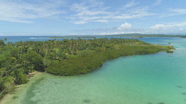 istock AERIAL: Flying over lush tropical forest and breathtaking white sand beaches. 1013829204