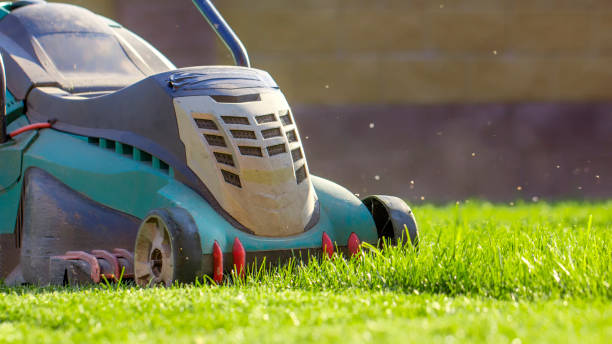 istock Lawn mower cutting green grass in backyard 1013830006