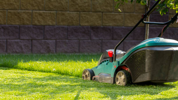 istock Lawn mower cutting green grass in backyard 1013830108