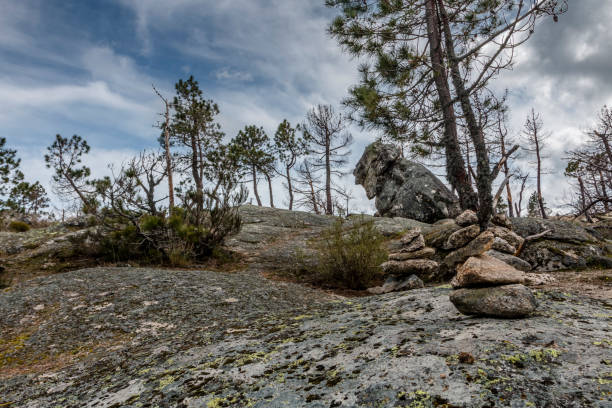 istock Natural Park Serra da Estrella, Portugal. 1013842860