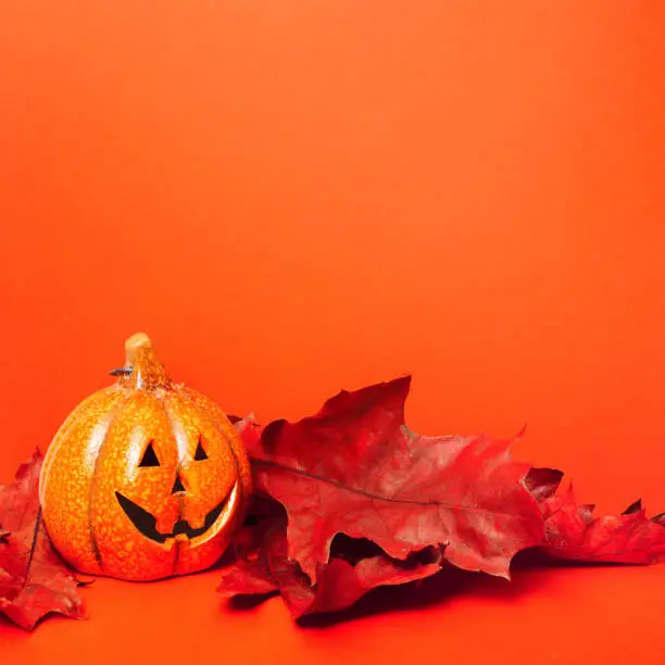 Happy Halloween. Festive still life, pumpkin-lantern and autumn leaves. Bright orange background, copy space