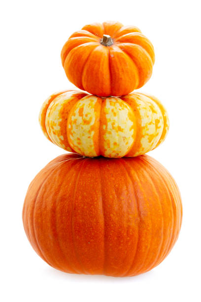 istock Fall harvest of pumpkins 1013863896