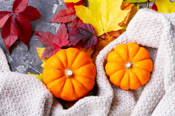 istock Thanksgiving pumpkins with fall leaves 1013866270