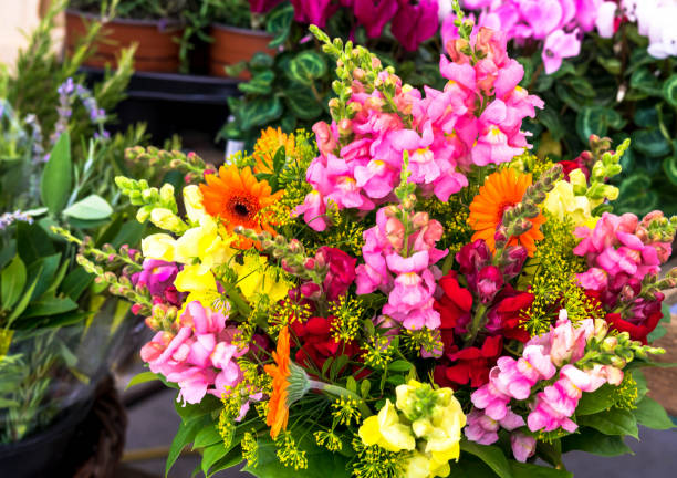istock Bouquet of different flowers 1013873922