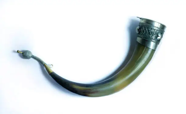 Photo of Horn for wine