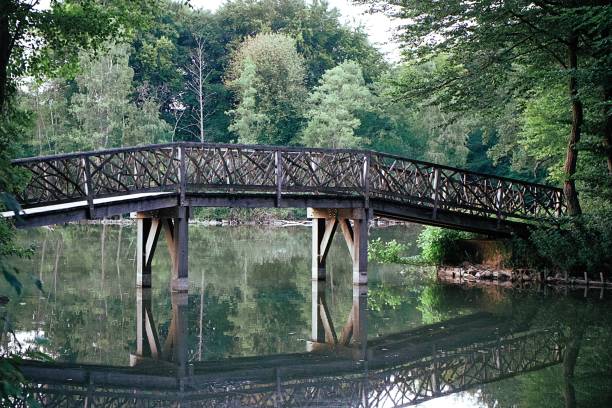 istock Bridge at Lake Bagno 1013901446
