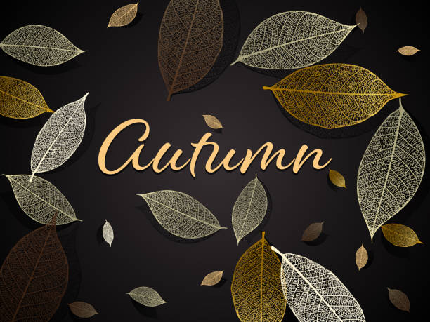 Vektor Herbst Hintergrund – Vektorgrafik