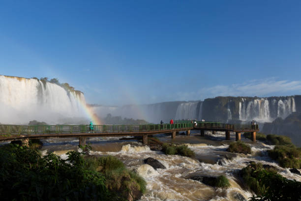 istock Iguassu Falls National Park. 1013904042