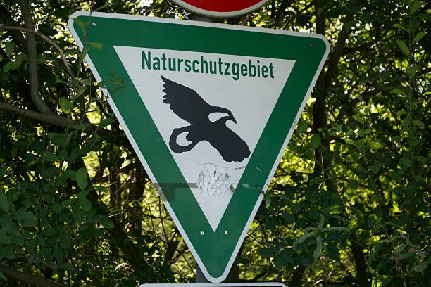 istock Sign 