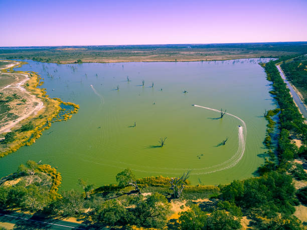 Aerial view of Loch Luna lake with bare tree growing in the water Aerial view of Loch Luna lake with bare tree growing in the water lake murray stock pictures, royalty-free photos & images