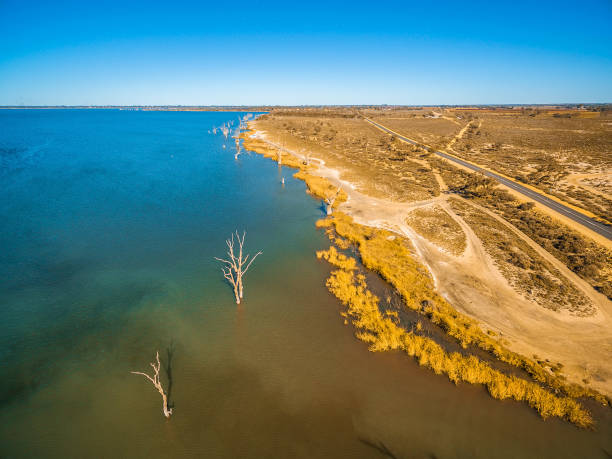 Aerial view of bare trees in waters of Lake Bonnie, Riverland, South Australia Aerial view of bare trees in waters of Lake Bonnie, Riverland, South Australia lake murray stock pictures, royalty-free photos & images