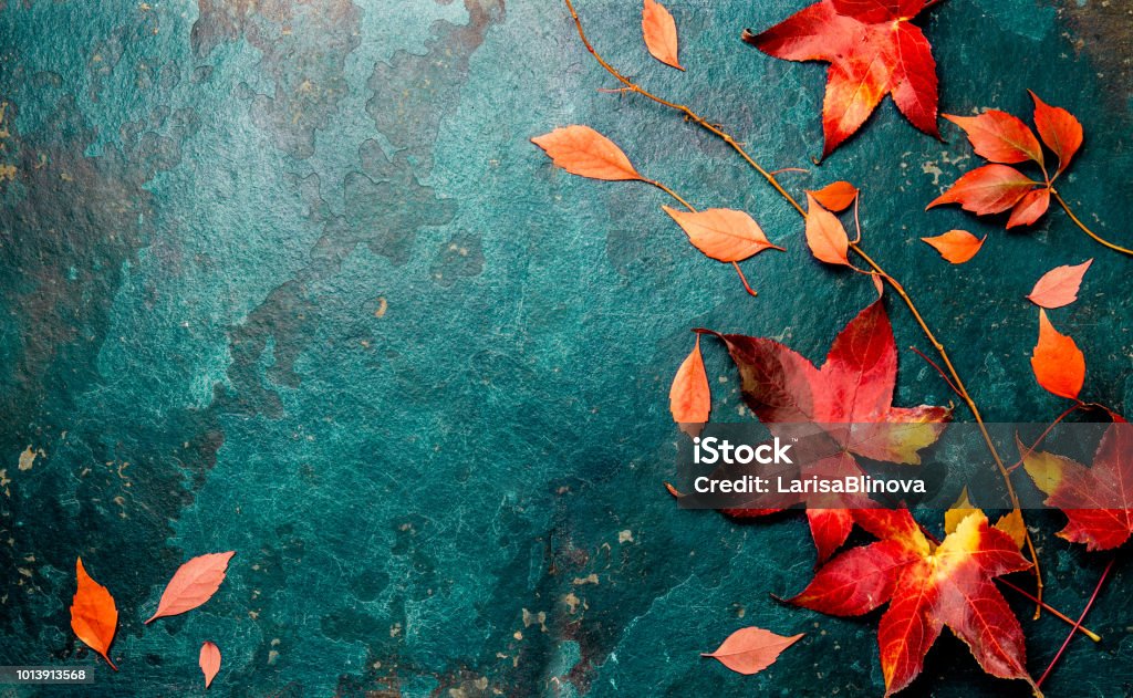 Roten Herbstlaub auf türkis blauem Hintergrund. Kopieren Sie Raum. Ansicht von oben - Lizenzfrei Herbst Stock-Foto