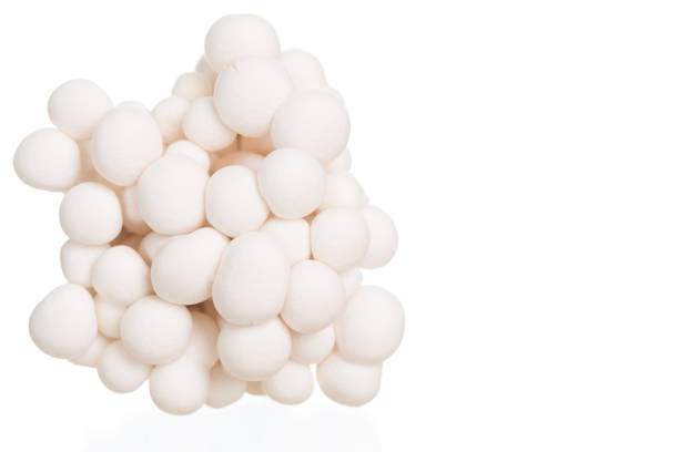 istock White beech mushrooms or Shimeji mushroom on white background 1013914054
