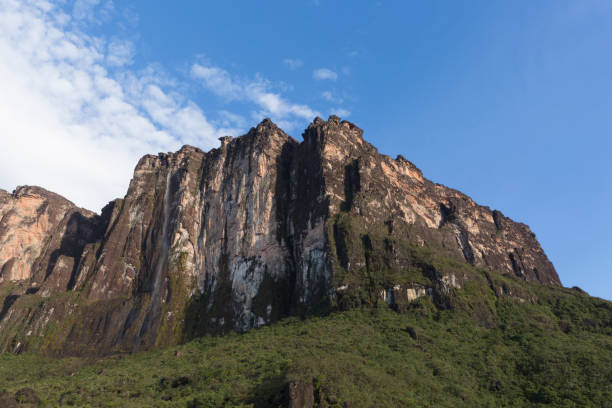 istock Kukenan Tepui near Mount Roraima. 1013929080