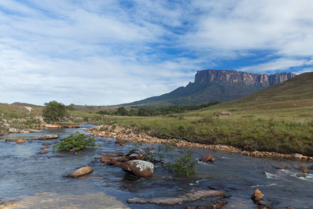 istock Kukenan Tepui near Mount Roraima. 1013931738