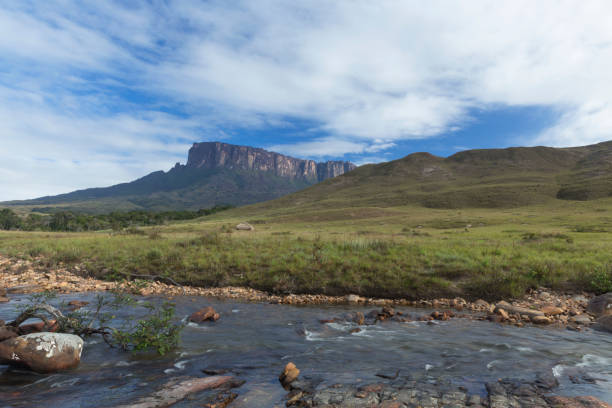 istock Kukenan Tepui near Mount Roraima. 1013931744