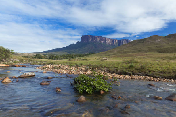 istock Kukenan Tepui near Mount Roraima. 1013931756