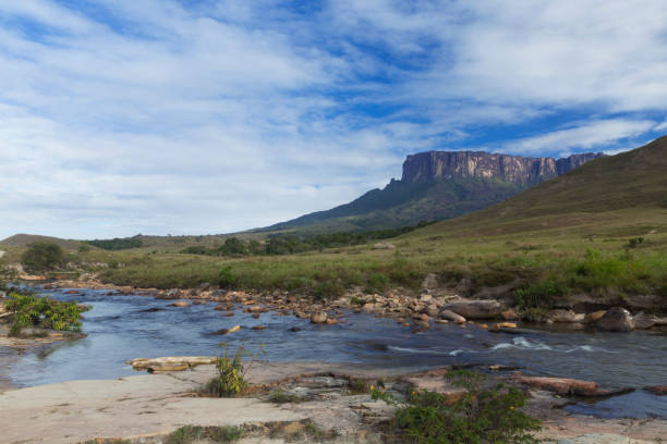 istock Kukenan Tepui near Mount Roraima. 1013931758