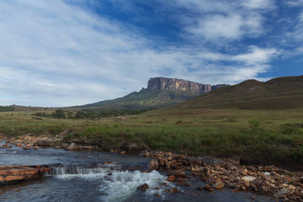 istock Kukenan Tepui near Mount Roraima. 1013931776