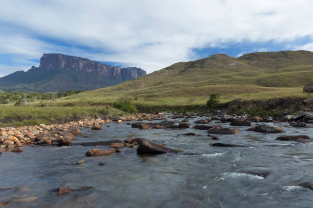istock Kukenan Tepui near Mount Roraima. 1013931778