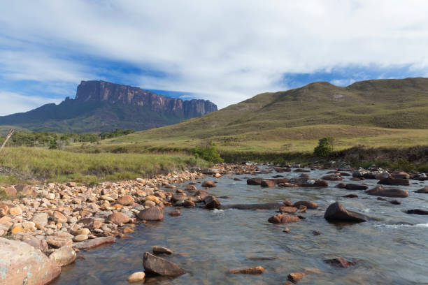 istock Kukenan Tepui near Mount Roraima. 1013931790