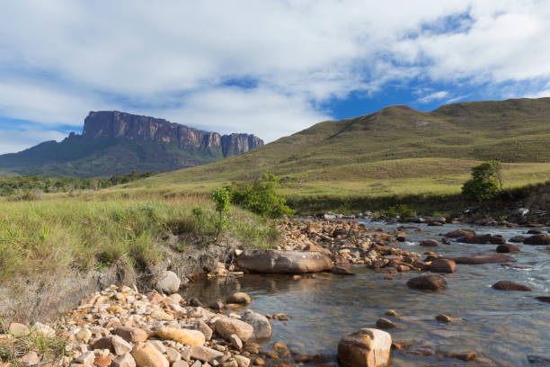 istock Kukenan Tepui near Mount Roraima. 1013931796