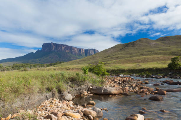 istock Kukenan Tepui near Mount Roraima. 1013931800