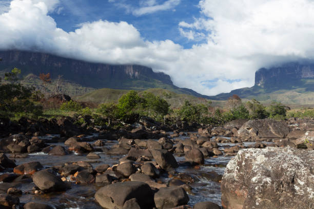 istock Mount Roraima and Kukenan Tepui. 1013934120