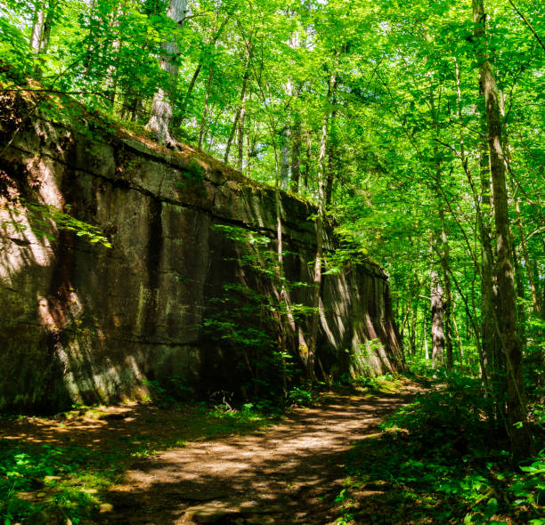 istock Rock wall in the woods. 1013934524