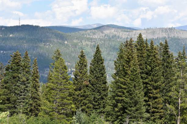 istock Scenes in and around Breckenridge, Colorado 1013936982