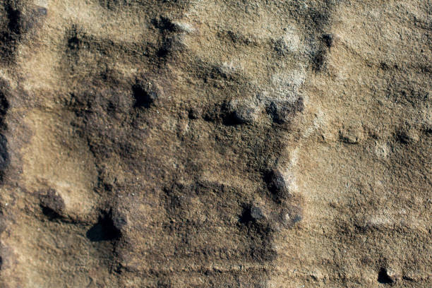 istock Rock or Stone  as  natural background texture 1013942356