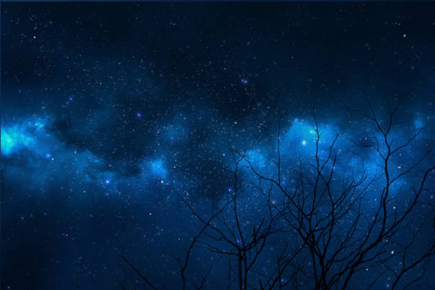 istock Galaxy back silhouette dry branch tree and night sky 1013943016