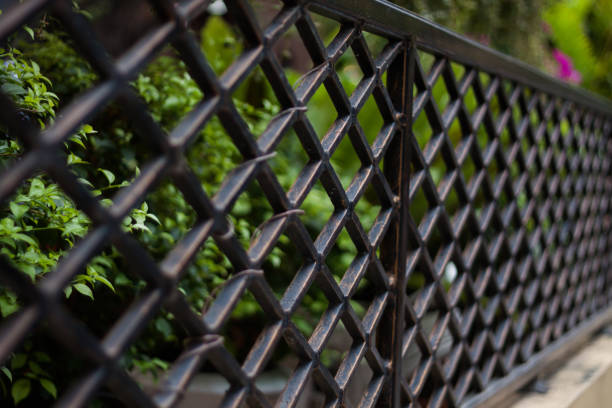 istock Aluminum Fence in private zone 1013951948