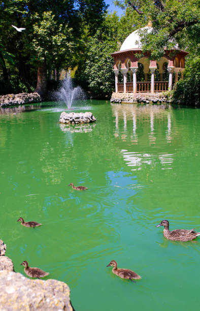 istock Romantic Maria Luisa Park pond, Seville, Spain 1013952132