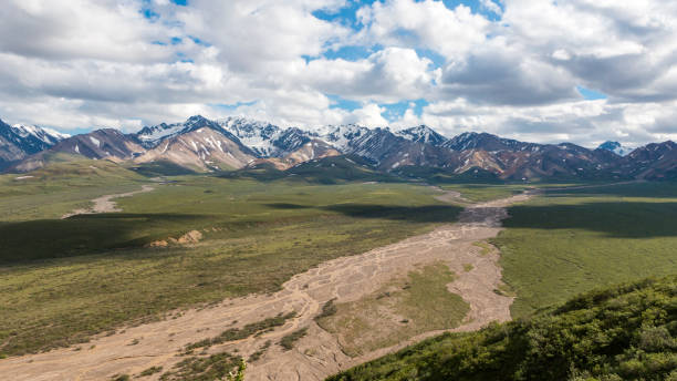 istock Denali National Park Landscape 1013958440