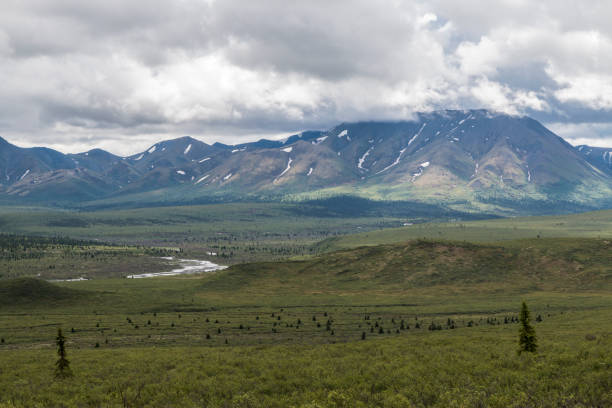 istock Denali National Park Landscape 1013960988