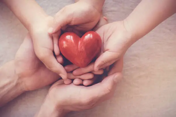 hands holding red heart, health insurance, donation concept
