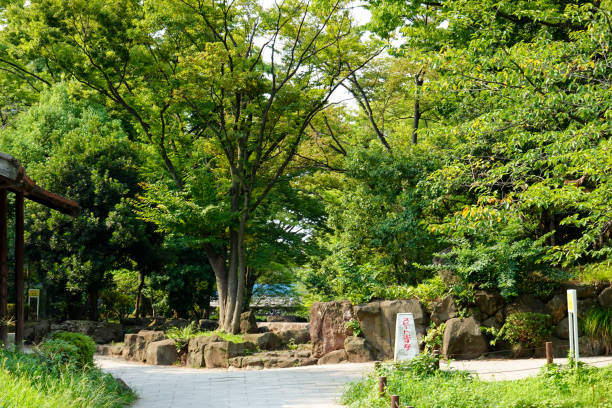 istock Park in Japan 1013964296