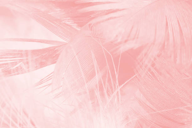 istock Coral Pink vintage color trends feather texture background 1013971852