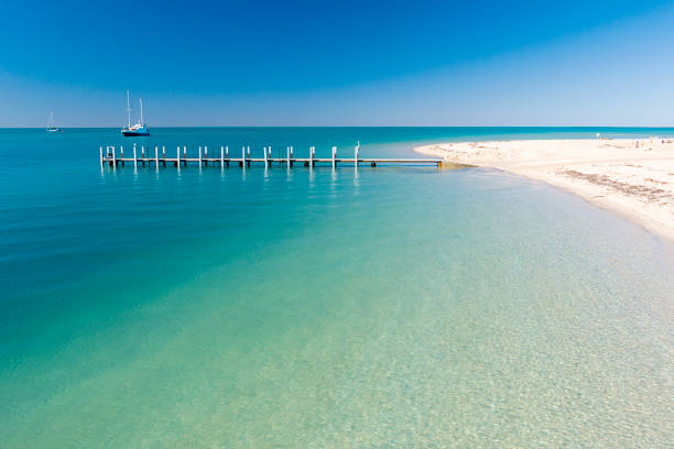 Shark Bay, Western Australia. stock photo