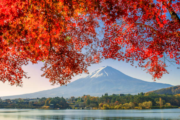 istock Autumn in Lake Kawaguchi 1013999870