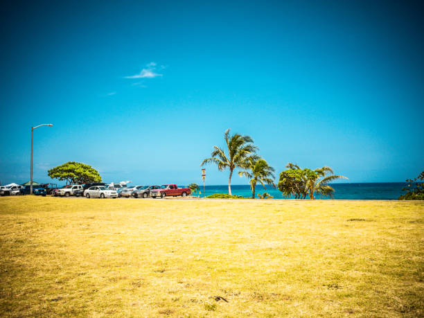 istock Coastline and wave of Oahu Island, Hawaii 1014002292