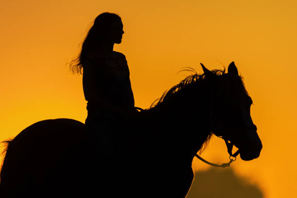 istock Girl and horse silhouette 1014005294