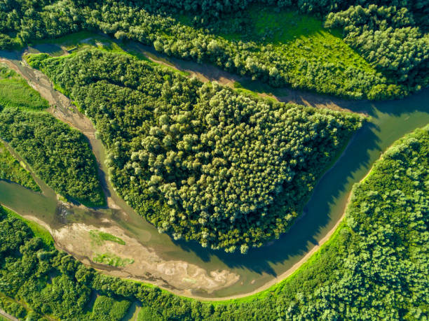 istock Aerial view of forest and river 1014015086