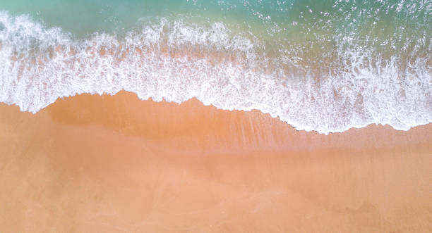 istock Aerial view of tropical sandy beach and ocean. Copy space 1014025220