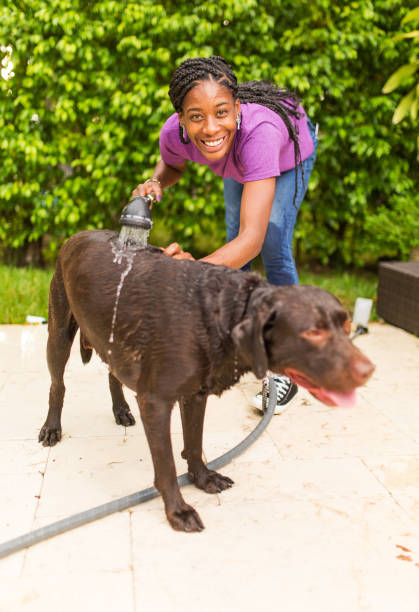 istock Groomer and dog 1014025910