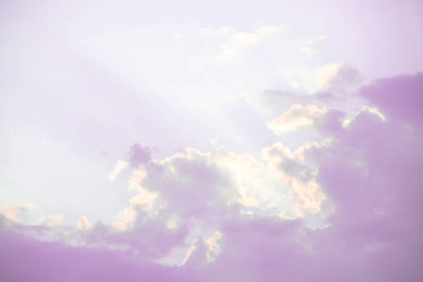 istock Abstract background sensitive scene bottom view of  violet sky 1014038008
